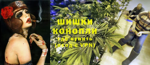 хмурый Мегион