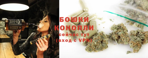 хмурый Мегион