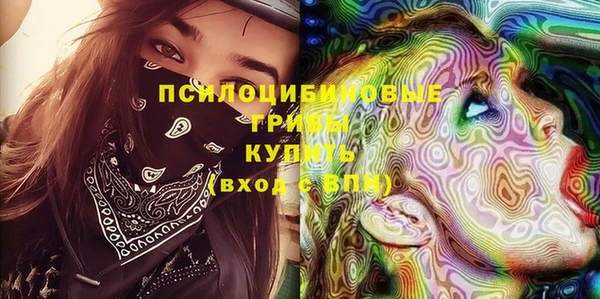 хмурый Мегион