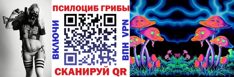 Купить закладки  Лаишево  Галлюциногенные грибы Psilocybine cubensis 